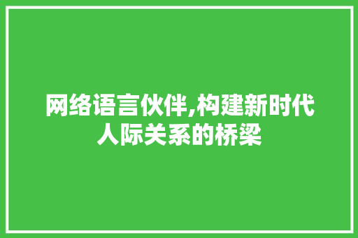 网络语言伙伴,构建新时代人际关系的桥梁