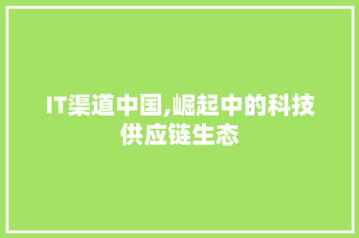 IT渠道中国,崛起中的科技供应链生态 建站教程