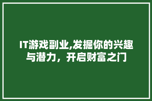 IT游戏副业,发掘你的兴趣与潜力，开启财富之门 建站教程