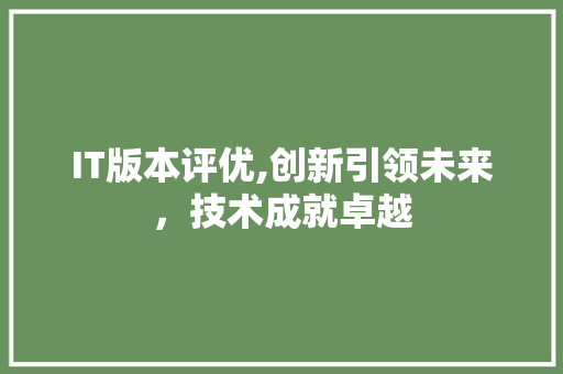 IT版本评优,创新引领未来，技术成就卓越 建站教程