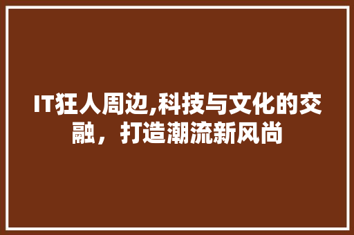 IT狂人周边,科技与文化的交融，打造潮流新风尚