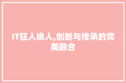 IT狂人换人,创新与传承的完美融合