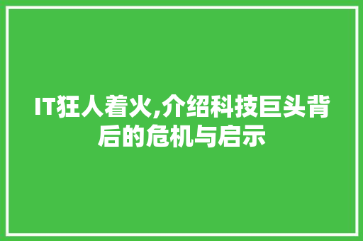 IT狂人着火,介绍科技巨头背后的危机与启示