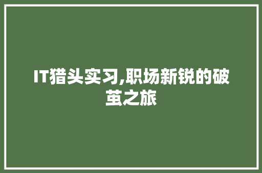 IT猎头实习,职场新锐的破茧之旅 Web前端