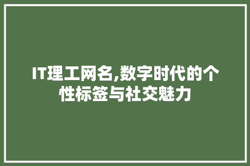 IT理工网名,数字时代的个性标签与社交魅力