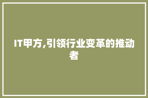 IT甲方,引领行业变革的推动者