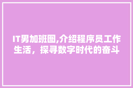 IT男加班图,介绍程序员工作生活，探寻数字时代的奋斗与牺牲