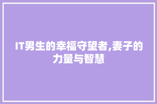 IT男生的幸福守望者,妻子的力量与智慧 WordPress教程