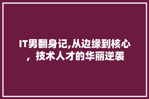IT男翻身记,从边缘到核心，技术人才的华丽逆袭 WordPress教程