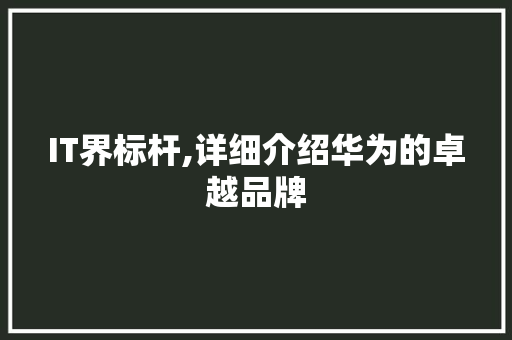IT界标杆,详细介绍华为的卓越品牌