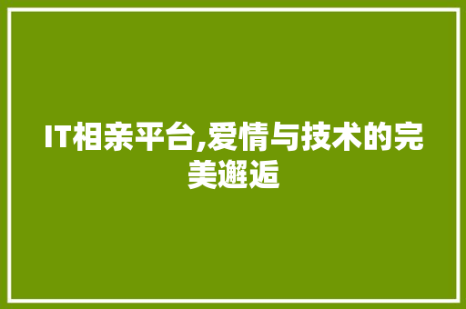 IT相亲平台,爱情与技术的完美邂逅
