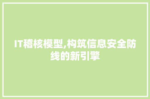 IT稽核模型,构筑信息安全防线的新引擎 SEO教程