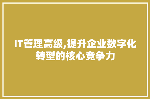 IT管理高级,提升企业数字化转型的核心竞争力
