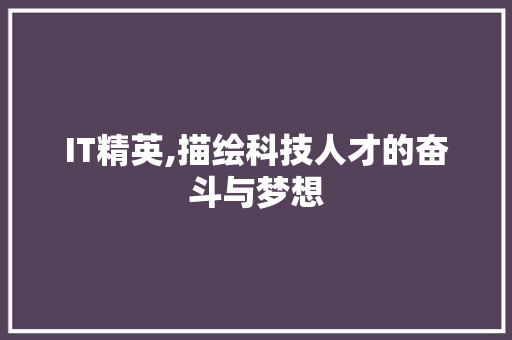 IT精英,描绘科技人才的奋斗与梦想