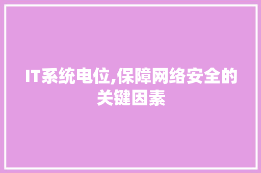 IT系统电位,保障网络安全的关键因素
