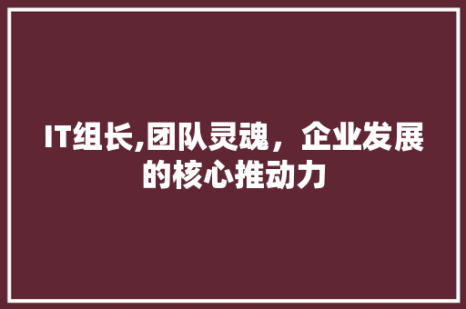 IT组长,团队灵魂，企业发展的核心推动力