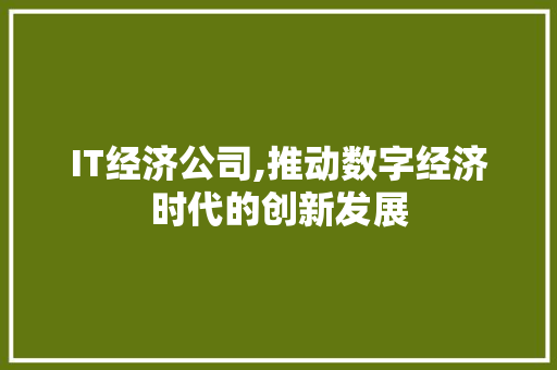 IT经济公司,推动数字经济时代的创新发展