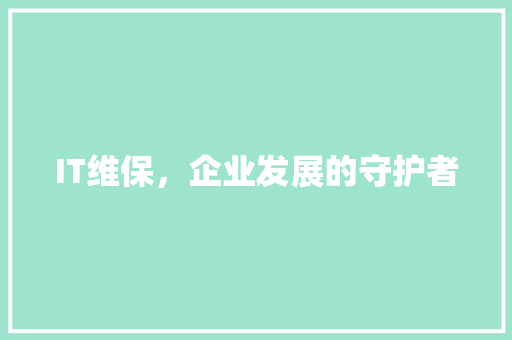 IT维保，企业发展的守护者