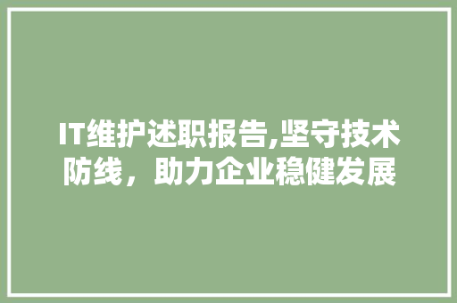 IT维护述职报告,坚守技术防线，助力企业稳健发展