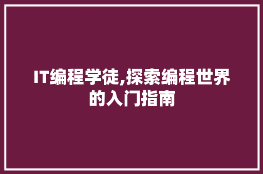 IT编程学徒,探索编程世界的入门指南