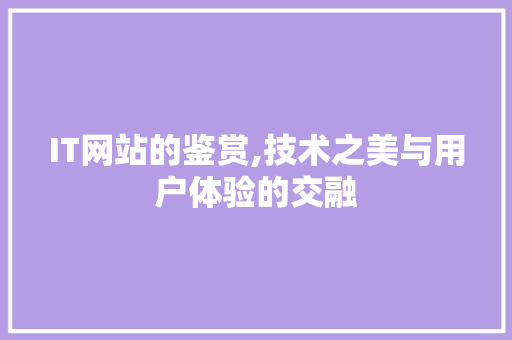 IT网站的鉴赏,技术之美与用户体验的交融