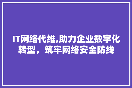 IT网络代维,助力企业数字化转型，筑牢网络安全防线 Web前端
