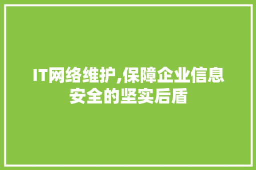 IT网络维护,保障企业信息安全的坚实后盾
