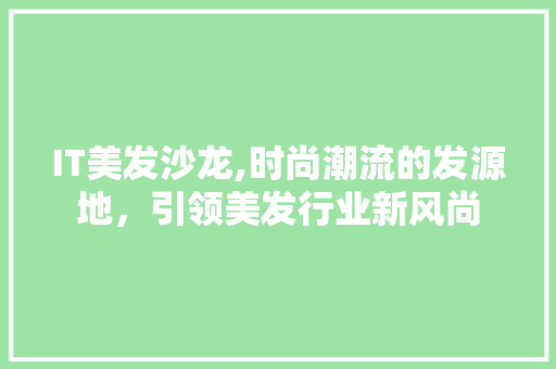 IT美发沙龙,时尚潮流的发源地，引领美发行业新风尚 WordPress教程