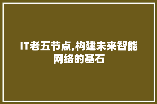 IT老五节点,构建未来智能网络的基石