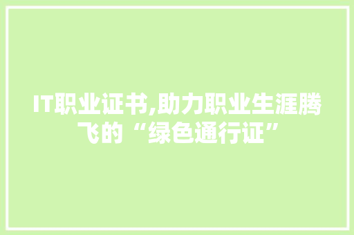 IT职业证书,助力职业生涯腾飞的“绿色通行证” WordPress教程