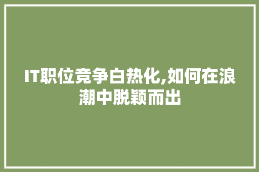 IT职位竞争白热化,如何在浪潮中脱颖而出 友链在线