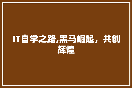 IT自学之路,黑马崛起，共创辉煌
