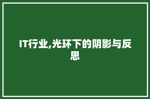 IT行业,光环下的阴影与反思