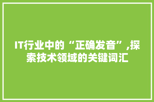 IT行业中的“正确发音”,探索技术领域的关键词汇
