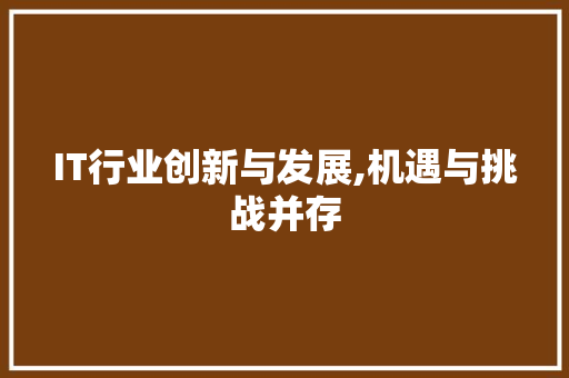 IT行业创新与发展,机遇与挑战并存