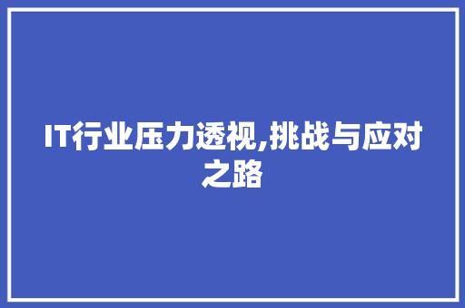 IT行业压力透视,挑战与应对之路
