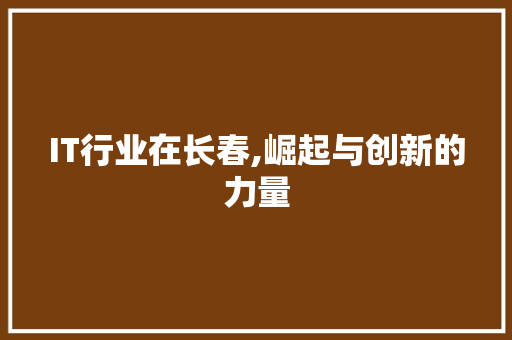 IT行业在长春,崛起与创新的力量