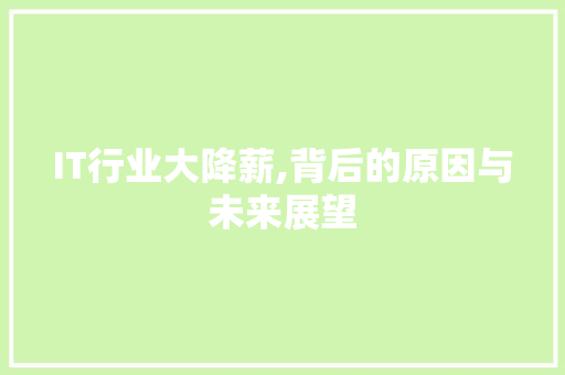 IT行业大降薪,背后的原因与未来展望