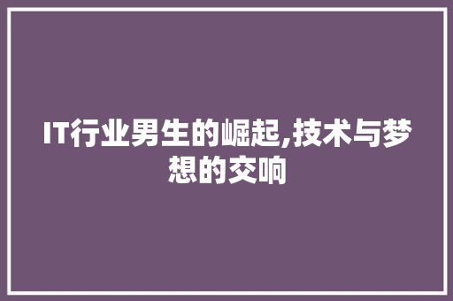 IT行业男生的崛起,技术与梦想的交响