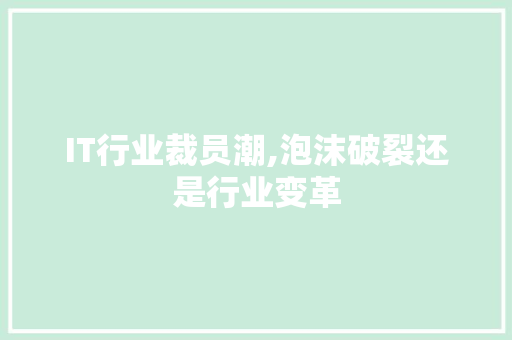 IT行业裁员潮,泡沫破裂还是行业变革