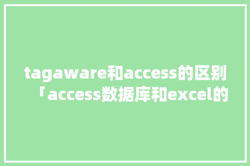 tagaware和access的区别「access数据库和excel的区别」 SEO教程
