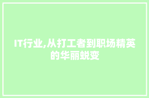 IT行业,从打工者到职场精英的华丽蜕变