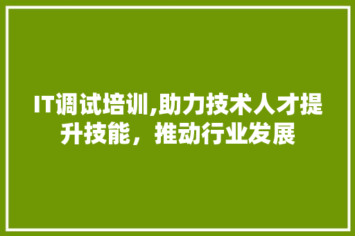 IT调试培训,助力技术人才提升技能，推动行业发展