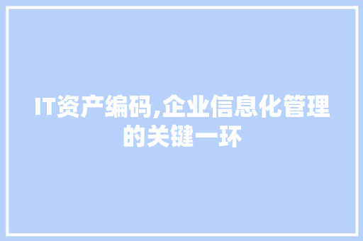 IT资产编码,企业信息化管理的关键一环