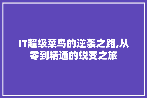 IT超级菜鸟的逆袭之路,从零到精通的蜕变之旅