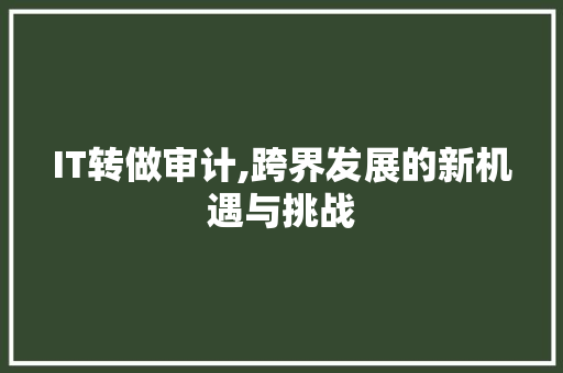 IT转做审计,跨界发展的新机遇与挑战