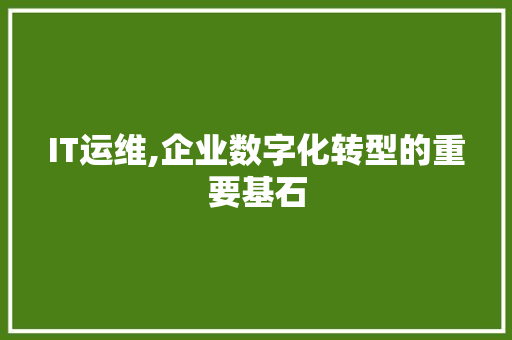 IT运维,企业数字化转型的重要基石