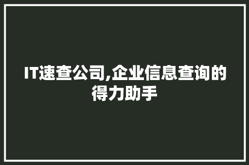 IT速查公司,企业信息查询的得力助手
