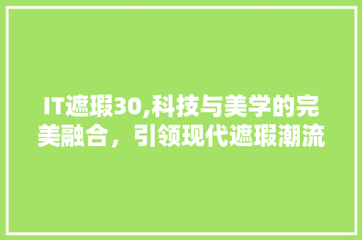 IT遮瑕30,科技与美学的完美融合，引领现代遮瑕潮流