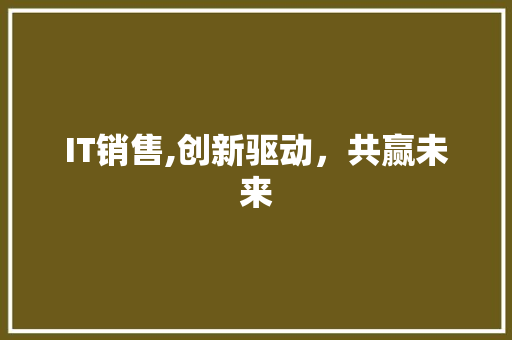 IT销售,创新驱动，共赢未来